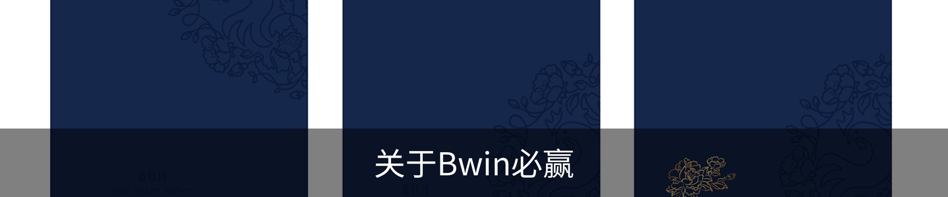 关于Bwin必赢
