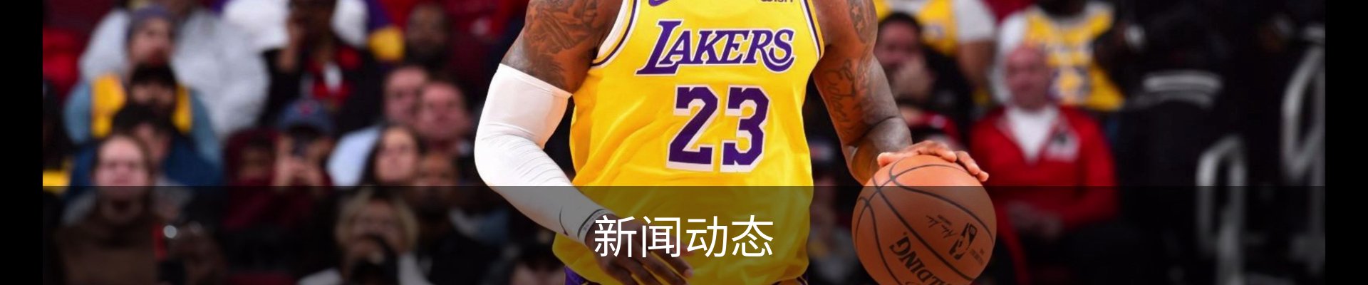 新闻动态