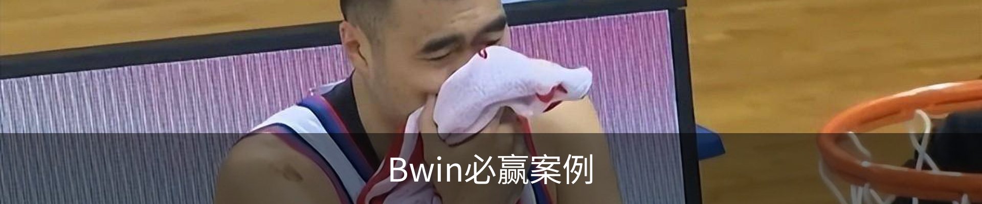 Bwin必赢案例